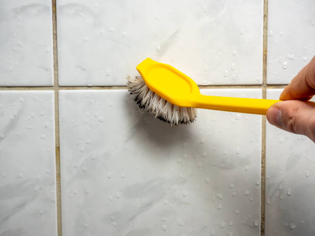 Best Home Mold Removal  in Evadale, TX