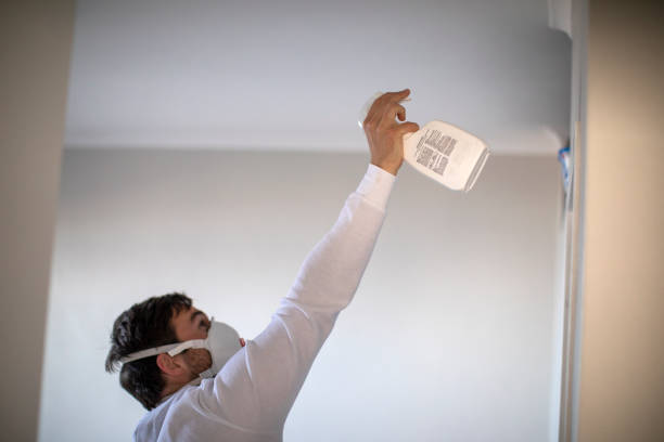 Best Mold Remediation Services  in Evadale, TX