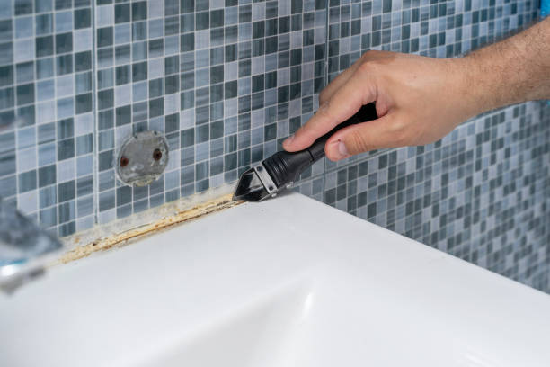 Best Black Mold Removal  in Evadale, TX