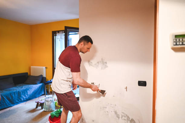 Best Mold Damage Repair  in Evadale, TX