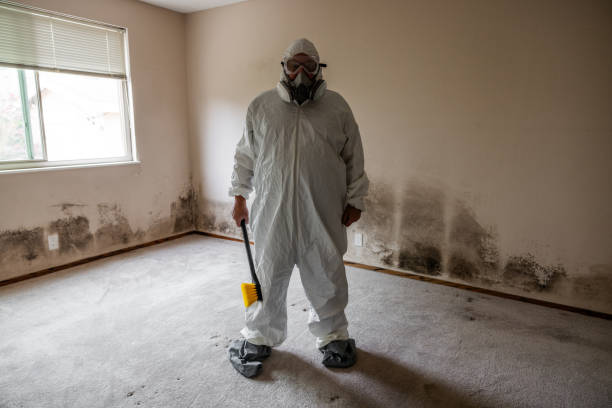 Best Mold Removal Company Near Me  in Evadale, TX